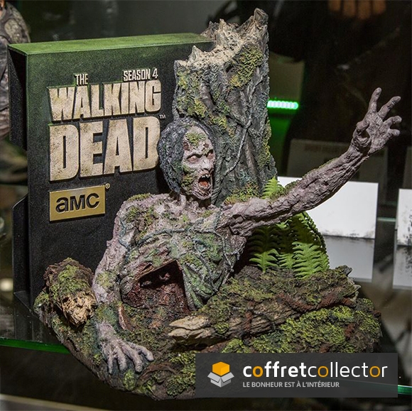 The-Walking-Dead-coffret-collector-saison-4